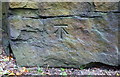 Benchmark on rock outcrop on east side of A6033 in Galstones Wood