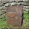 Milestone by the A689 west of Stanhope (2)