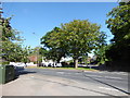 Looking from The Street towards Holland Road