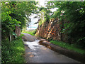 Remains of an old railway bridge near Whiteshawgate