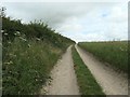 Public bridleway heading east to Ringlands