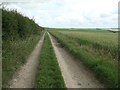 Public bridleway heading east to Ringlands and Greenagh