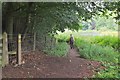 Borders Abbeys Way, Lowood