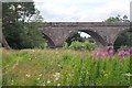 NT5135 : Redbridge Viaduct, River Tweed by Jim Barton