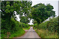 Winford : Benches Lane