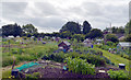 Allotments, Westfield Lane, Scholes