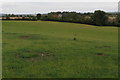 Footpath into Edgcott