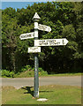 ST1638 : Signpost. Dead Woman's Ditch by Derek Harper