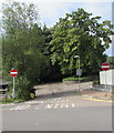 No Entry signs and trees on the south side of Trosnant Street, Pontypool