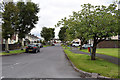 Orangefield Park, Omagh