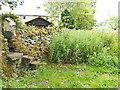 Overgrown track by the river Ribble in Settle