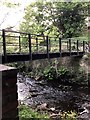 Footbridge over River Holme