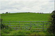H4276 : Gate and countryside, Tattraconnaghty by Kenneth  Allen