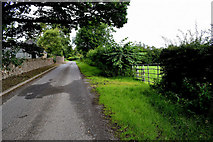 H4276 : Rash Road, Mountjoy Forest West by Kenneth  Allen