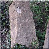SP2044 : Old Boundary Marker by M Baines