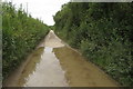 Big puddle on the path to Edgcott