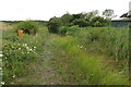 Footpath to Edgcott