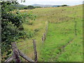 Ffens derfyn ger Caehopkin / A boundary fence near Caerhopkin