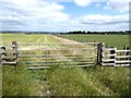 Gate on footpath below Byermoor Farm