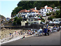 SX9365 : Cary Arms, public house Babbacombe by Chris Allen