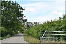TM3571 : Heveningham: Watt's Roadway, southern entrance to Home Farm by Michael Garlick