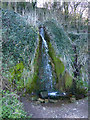 SX9265 : Babbacombe waterfall by Chris Allen