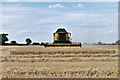 Brabling Green: Cereal crop harvesting