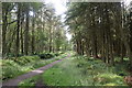 Path through Gairnhill Wood