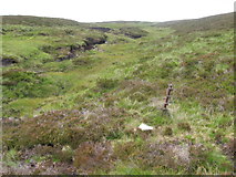NN6568 : Meall Breac hillside by Chris Wimbush