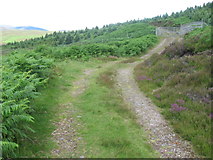 NN6765 : Track and gate into forest near Loch Errochty by Chris Wimbush