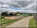 Turkey Farm Polytunnels