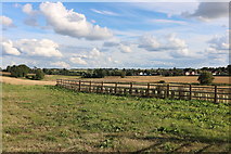 SP6360 : Field in Weedon by David Howard