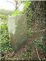 Old Boundary Marker