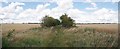 TL4532 : Bridleway 10_69 Panorama by Glyn Baker