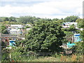 Spital Burn Allotments, Newbiggin-By-The Sea