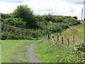 Footpath Near Spital Burn, Newbiggin-By-The-Sea