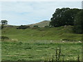 Old quarries near Snaygill Farm