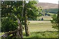 Farmland, Boghead