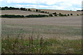 SU1635 : Farmland north of Winterboune Dauntsey by David Martin