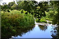 River Bourne below Home Bridge