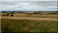NT8936 : Branxton Moor aka Flodden Field by Mick Garratt