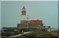 NU2438 : The Longstone Lighthouse by Malcolm Neal