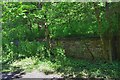 Remains of Heiton siding, Roxburgh Viaduct