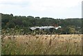 Chalkpit  near Wichling