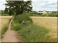 SK7053 : Footpath towards Southwell by Alan Murray-Rust