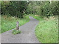 Public Bridleway, Wideopen