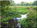 The old course of the River Wandle in Wandle Park