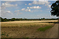 Open country east of Great Bardfield