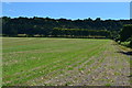 Field edge path toward Dean Hill