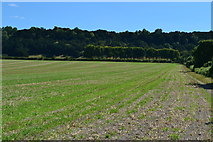 SU2526 : Field edge path toward Dean Hill by David Martin